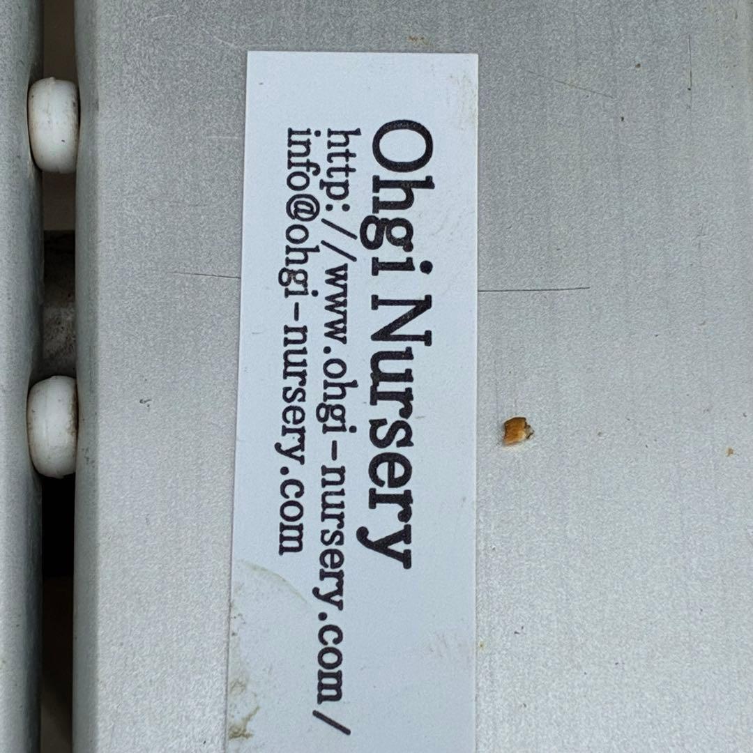 ラ*ク様 3444☘️花、タグ付☘️⭐️クロアチカスHyb⭐️超小輪〜小輪⭐️コ