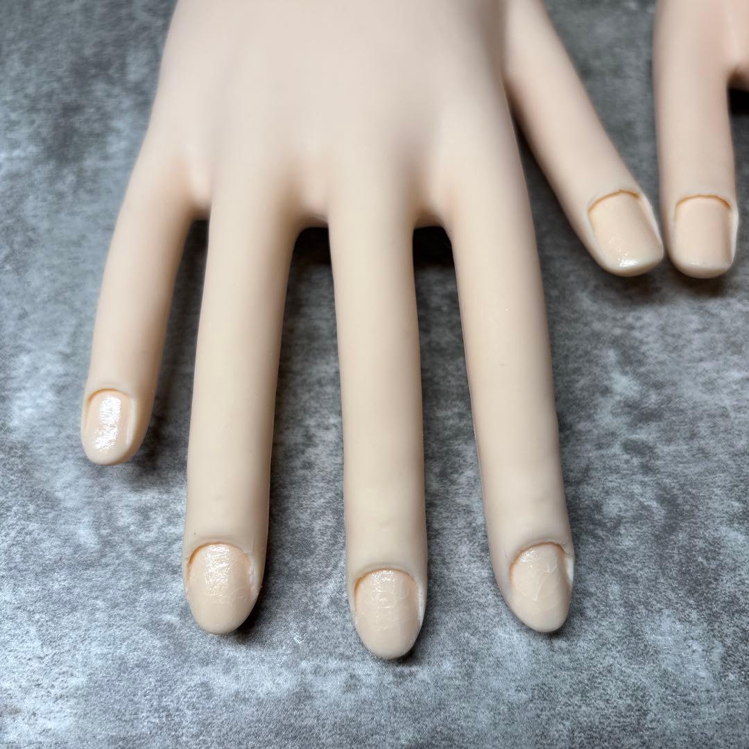 ネイリスト技能検定試験用JNEC認定モデルハンド両手