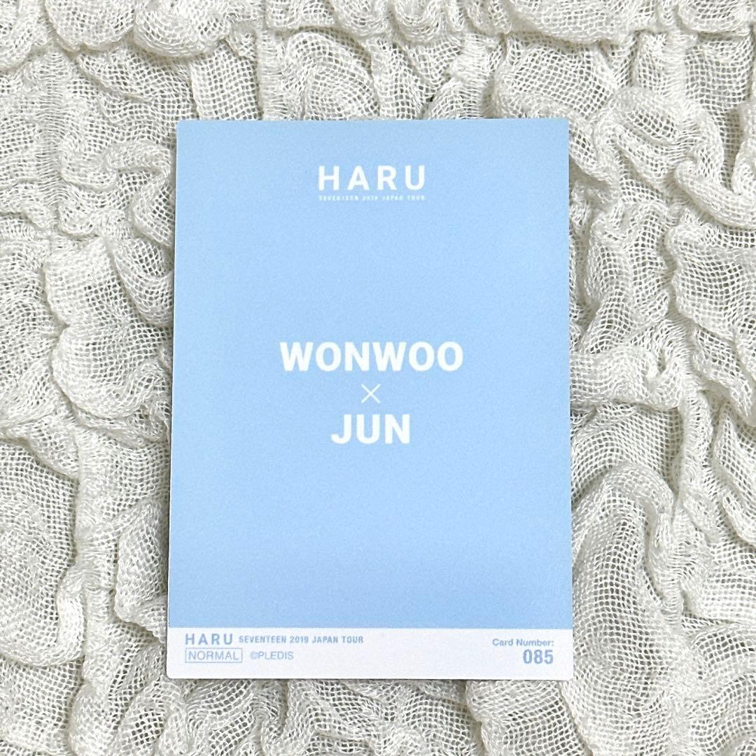 希少】SEVENTEEN HARU トレカ ウォヌ ジュン - メルカリ