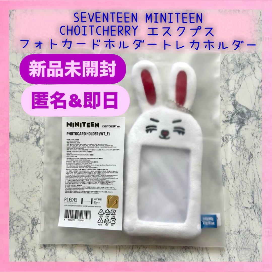 ラス1】公式SEVENTEEN ミニティーン エスクプス フォトカードホルダー
