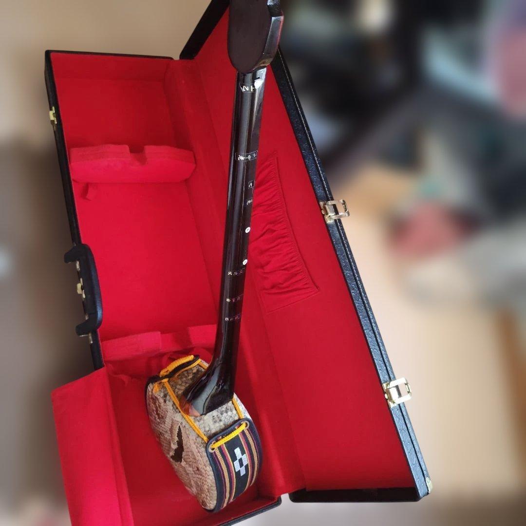 三線 本体 蛇の皮 ケース付き - メルカリ