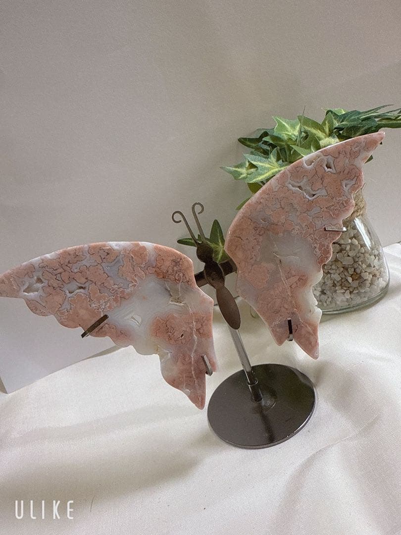 新春大特価♡桜瑪瑙♡蝶々