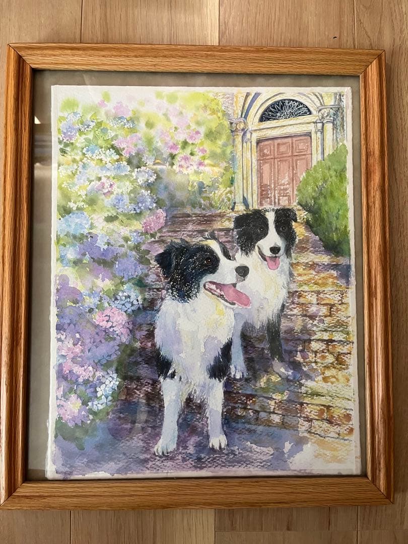 額付き　あじさい水彩画　ボーダーコリー