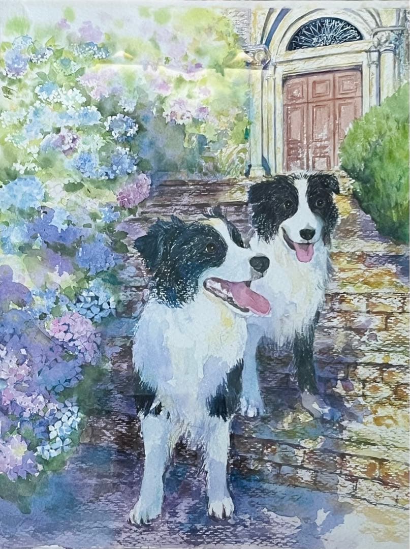 額付き　あじさい水彩画　ボーダーコリー