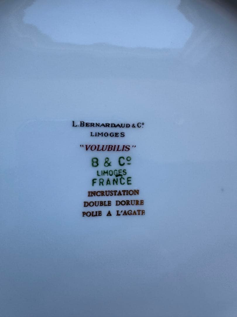 ベルナルド　ヴォルビリス　プレート　大　二枚セット　25.5cm