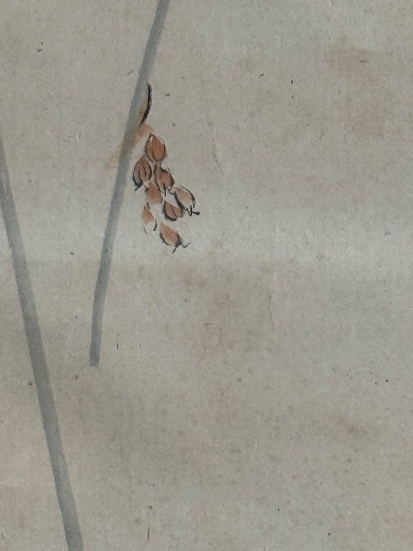 池上秀畝筆 絹本肉筆 沒骨法 掛軸 秀畝自題共箱 送料込み250824 - メルカリ