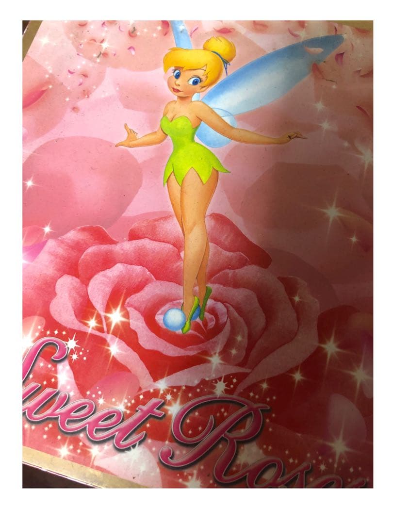 ディズニーストア＊ティンカーベル アクセサリー ジュエリーケース オルゴール