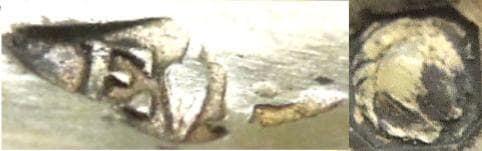 ピュイフォルカ　シルバーソルトスプーン　Puiforcat 純銀