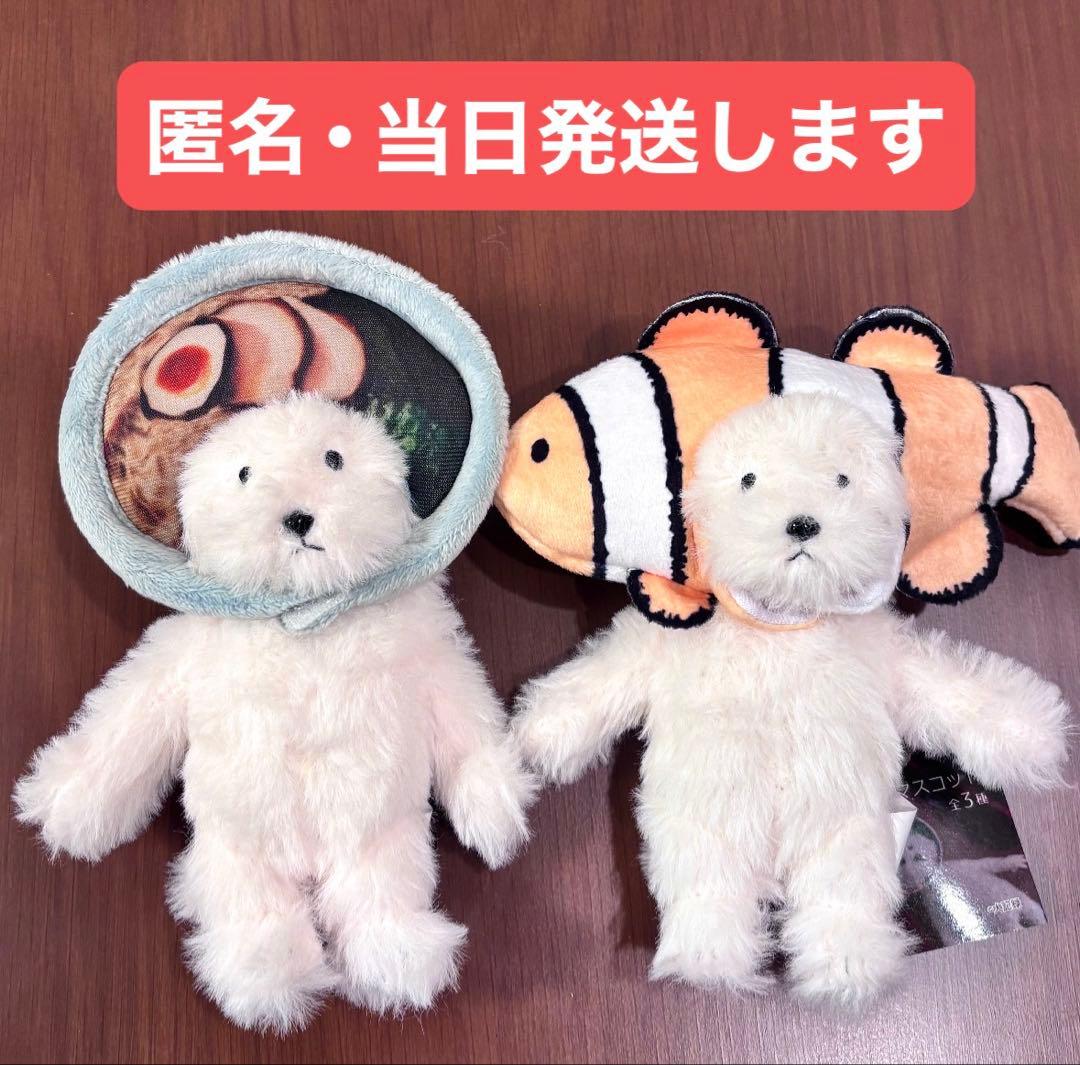 当日発送】犬記録 ぬいぐるみ ラーメン クマノミ2種モーリー