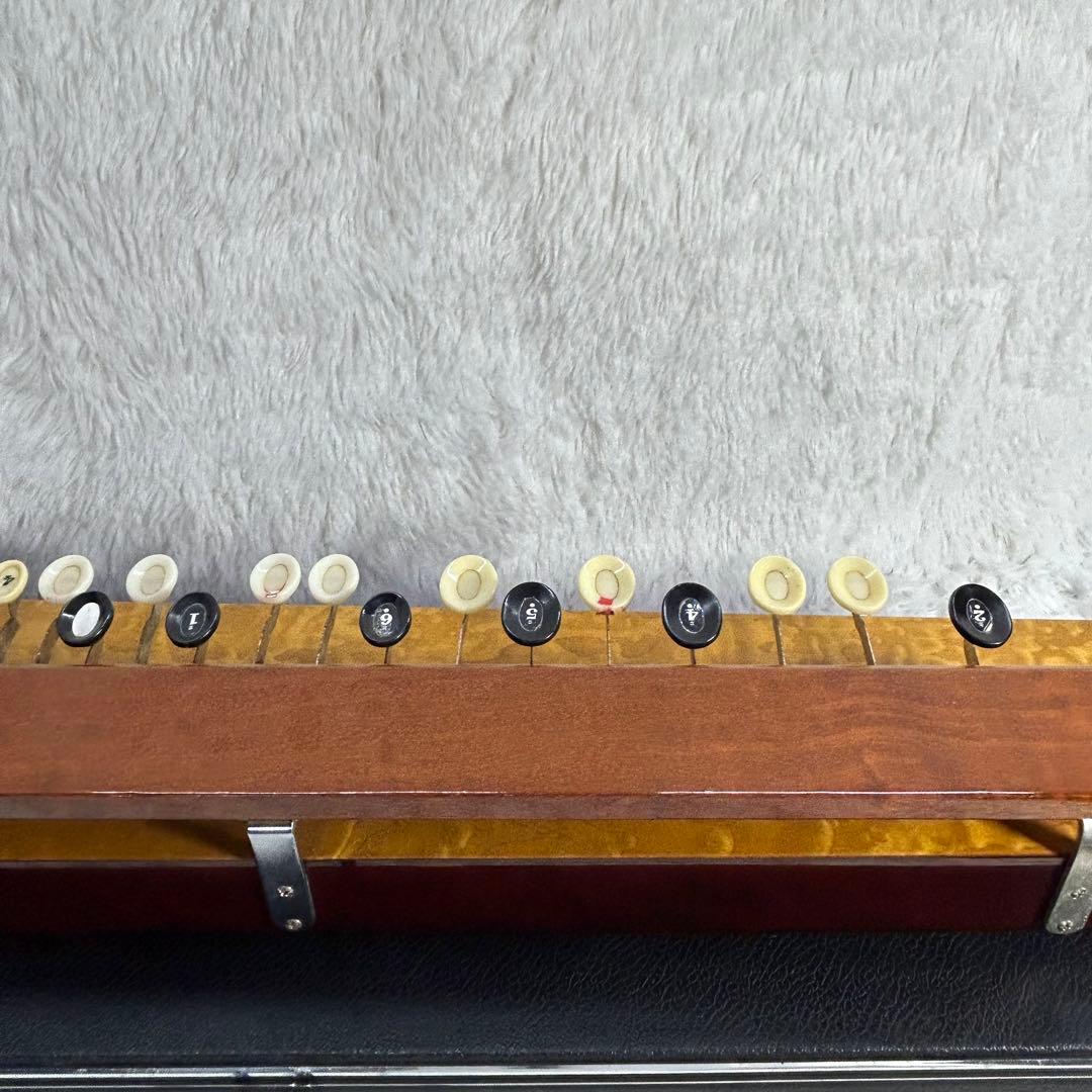 【希少】kimura 大正琴 バス 木村流 narden ナルダン 低音