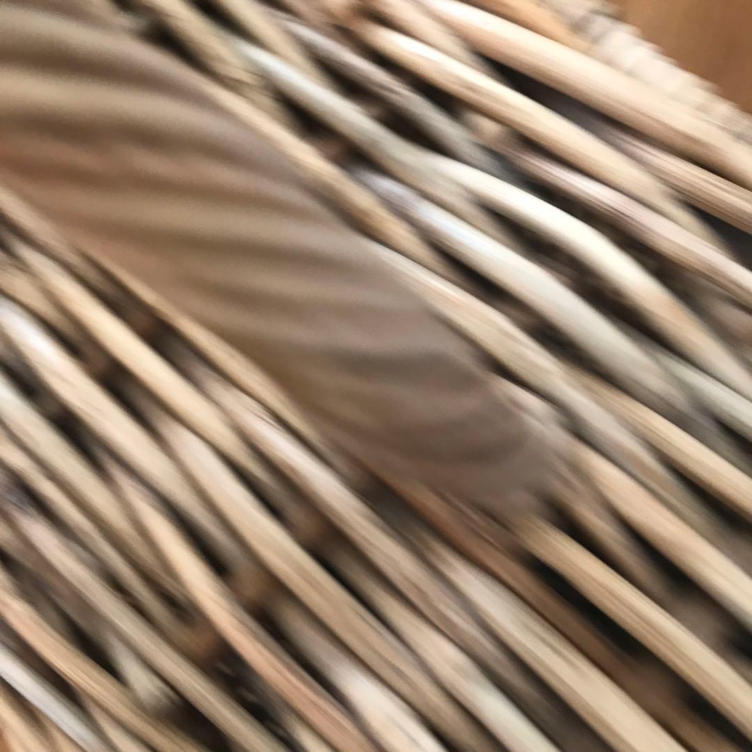 ★ナチュラルアラログバスケット★