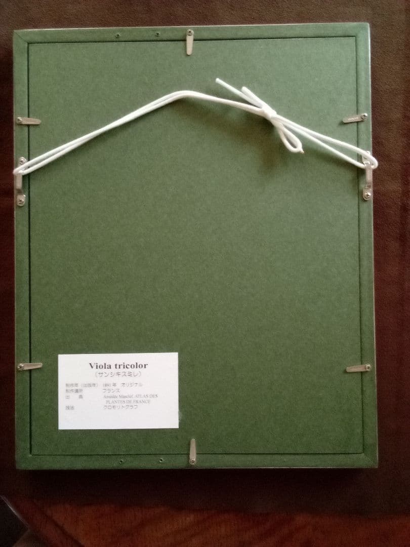 フランス ボタニカル画 石版画の額装品 １８９１年