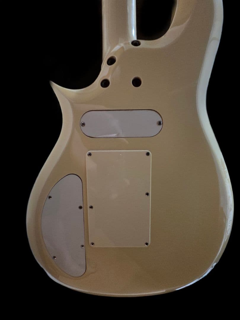 m*1様 Edwards ES-150PR LUNASEA SUGIZO プリン