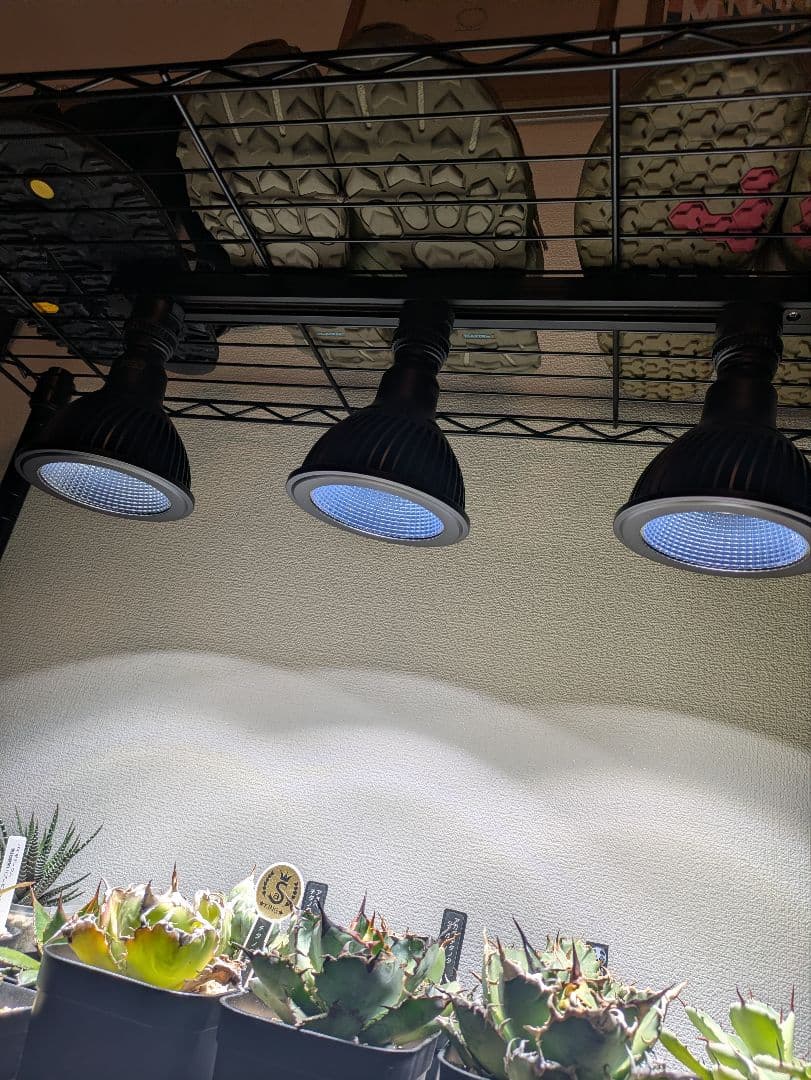 【HaruDesign】HASU38 spec9 6K 白色系 3個セット