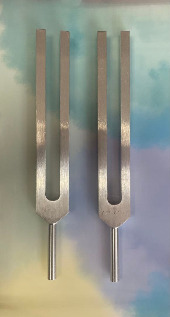 ステンレス製ダブルプランジチューニングフォーク2本セット 脂肪、筋肉音叉