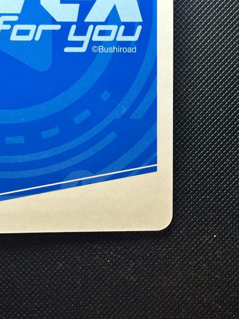 Reバース　for you アズールレーン　エンタープライズ　PP サイン