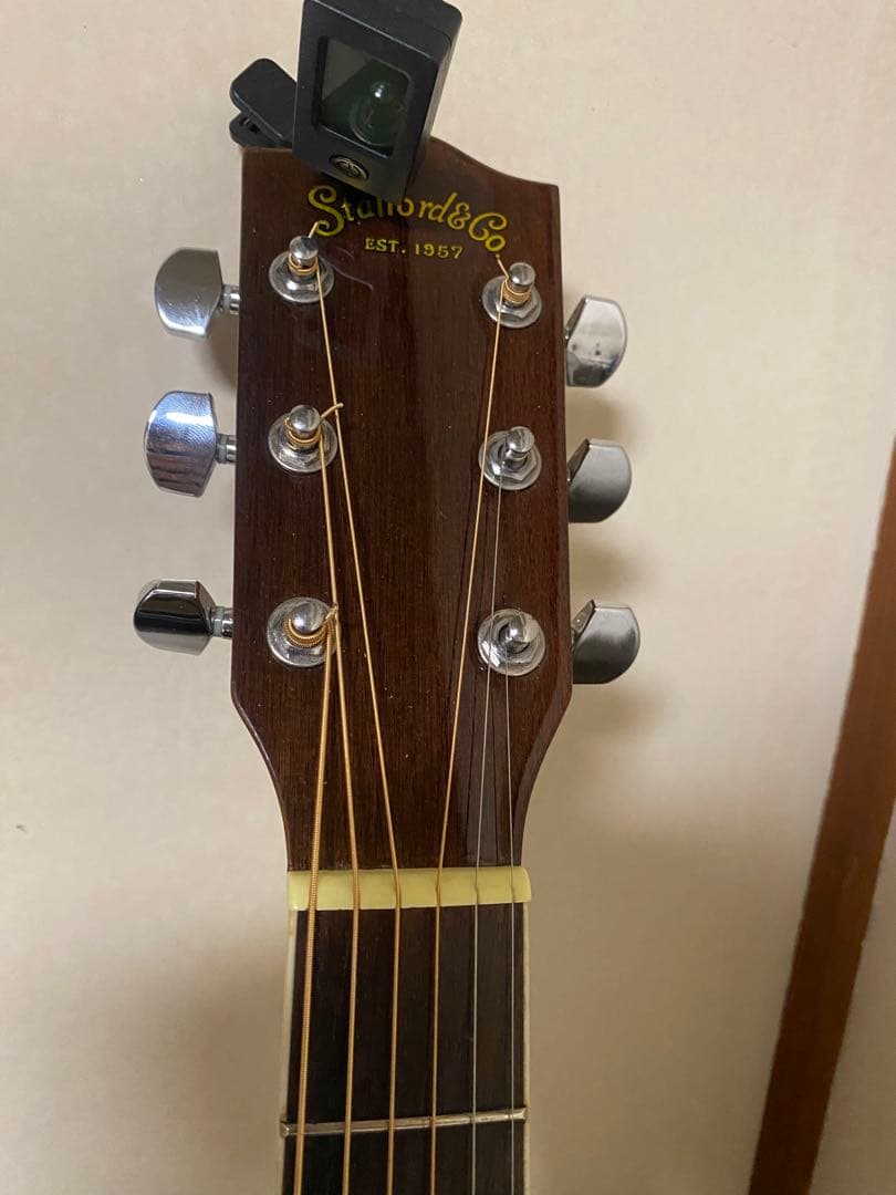 エレアコ　アコースティックギター グラデーショングリーン