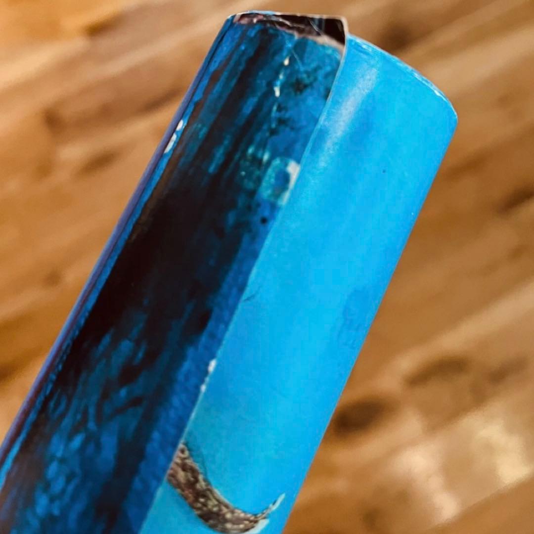 サイン】SHINRO OHKAKE No.65 ポスター大竹伸朗 タケニナガワ - その他