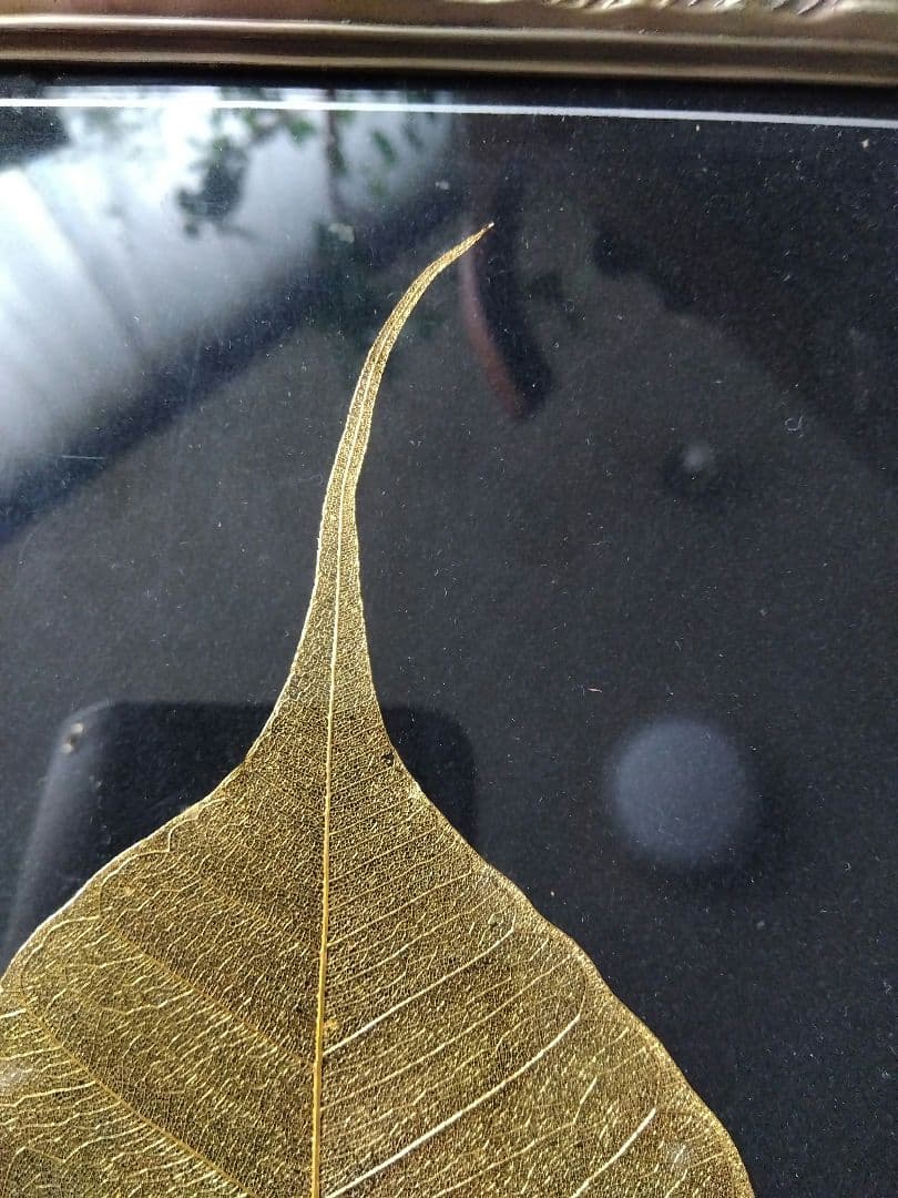 菩提樹 葉脈 24金コーティングアート - メルカリ