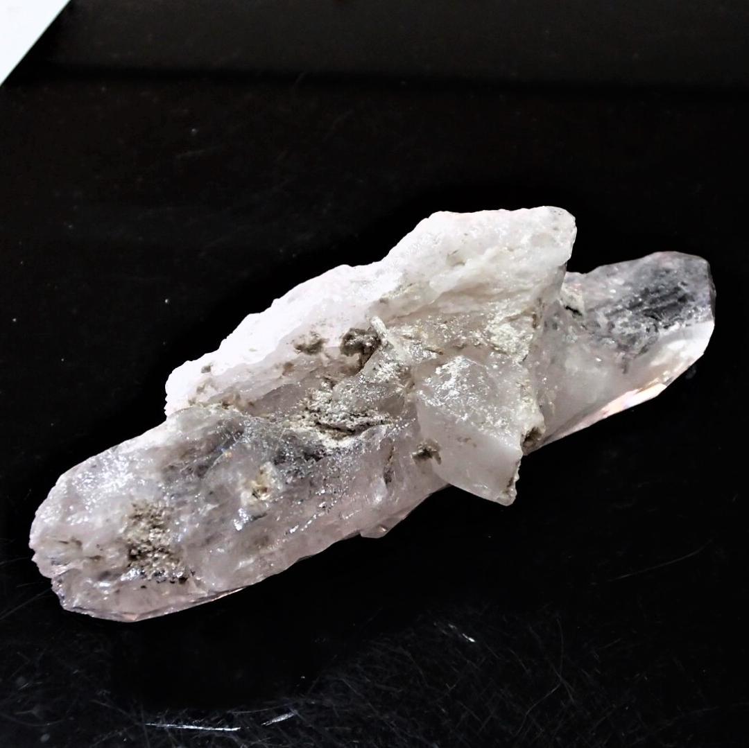 値下しました！ティップリン産クラスター80-2