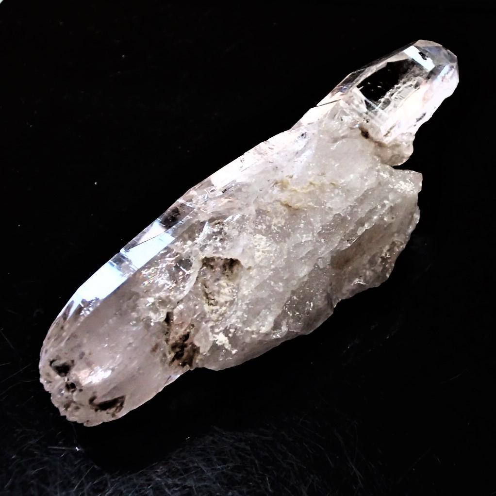 値下しました！ティップリン産クラスター80-2