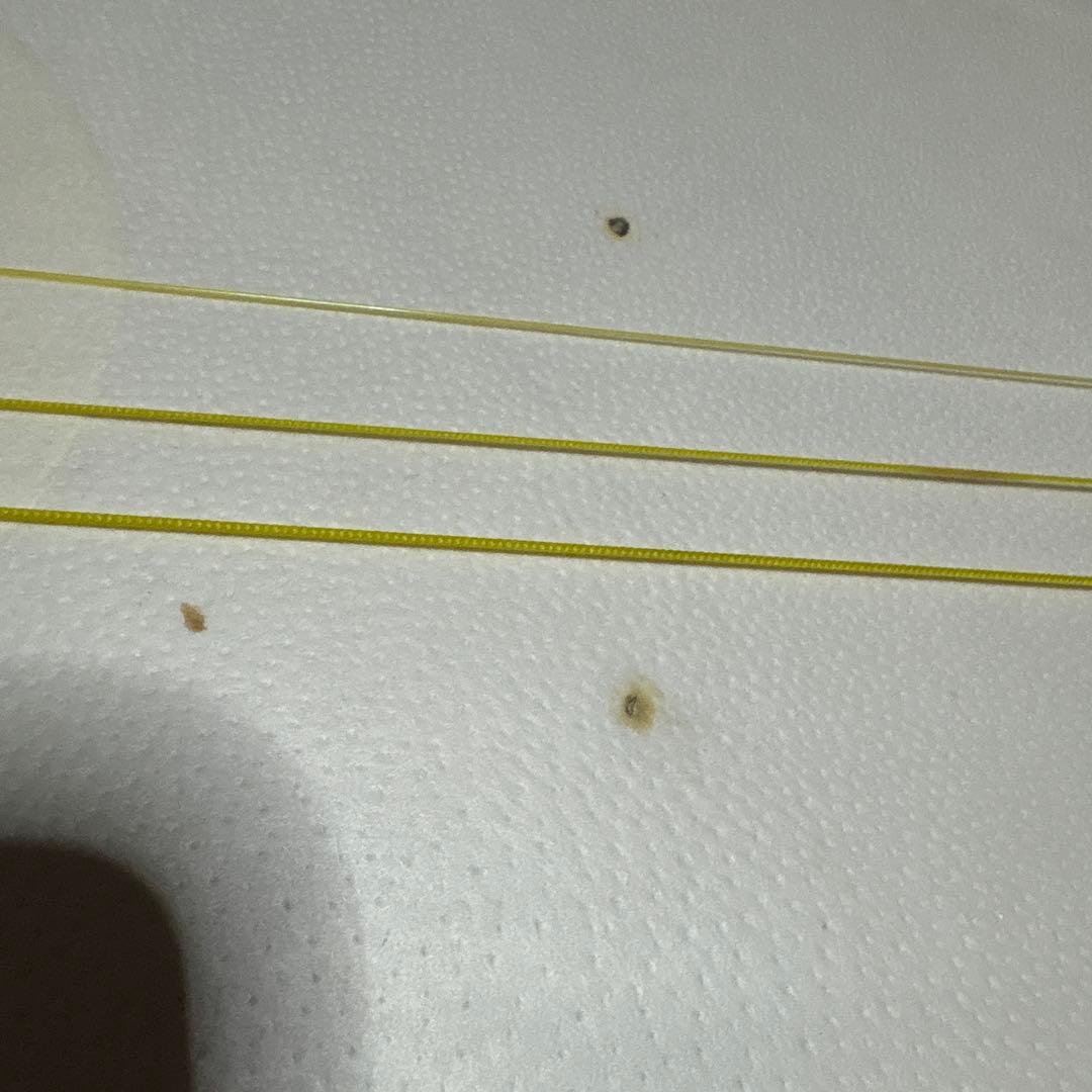 三味線　和楽器　バチ　べっこう風　撥　弦　駒　ハードケース