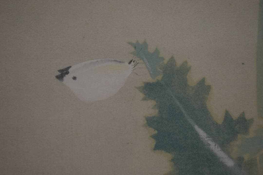 真作/吉田秋光/花にモンシロチョウ図/布袋屋掛軸HH-472