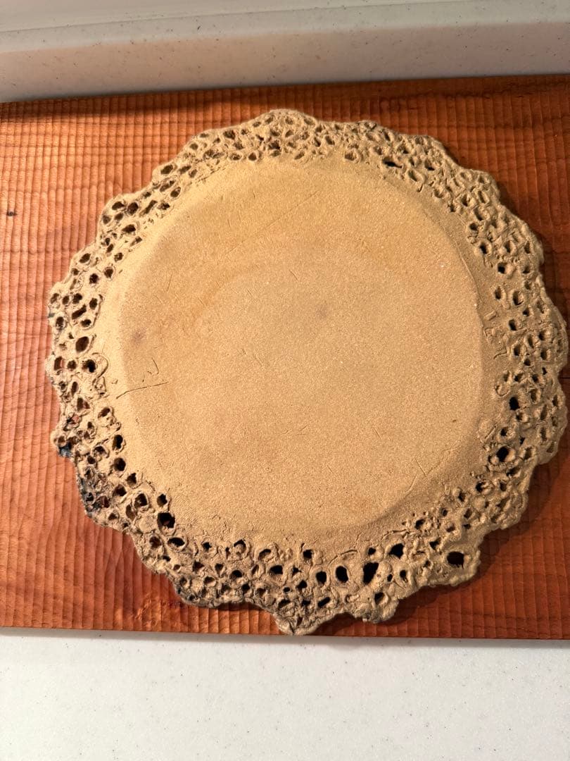 福森泉　ディナープレート　皿　大皿　レア　人気　完売　櫻井美奈子　アスティエ