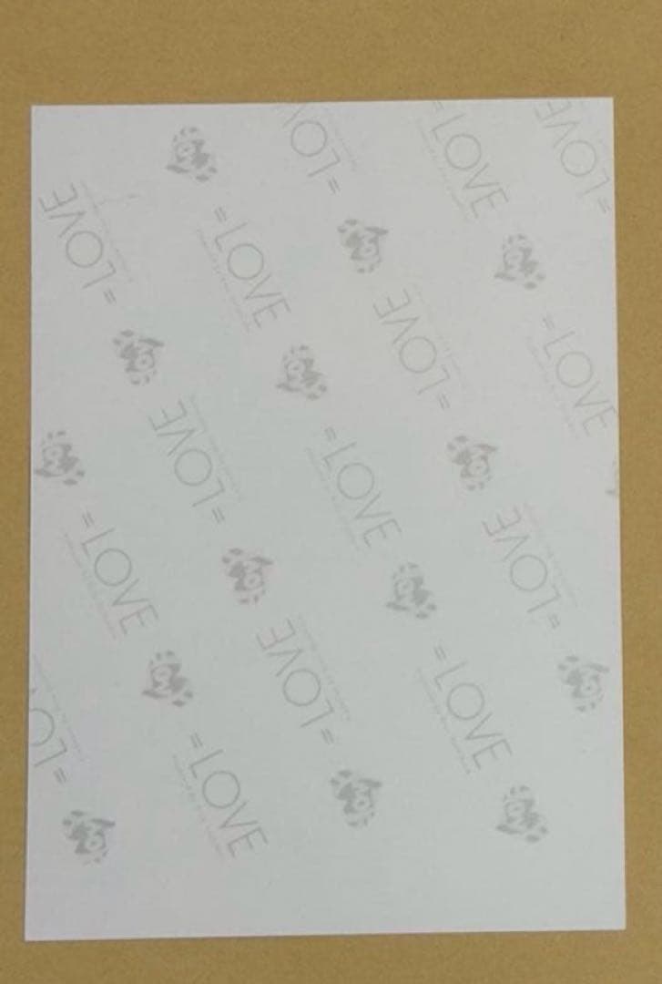 LOVE イコラブ 生写真セット 佐々木舞香 直筆 ヒキ ポロシャツ 2026