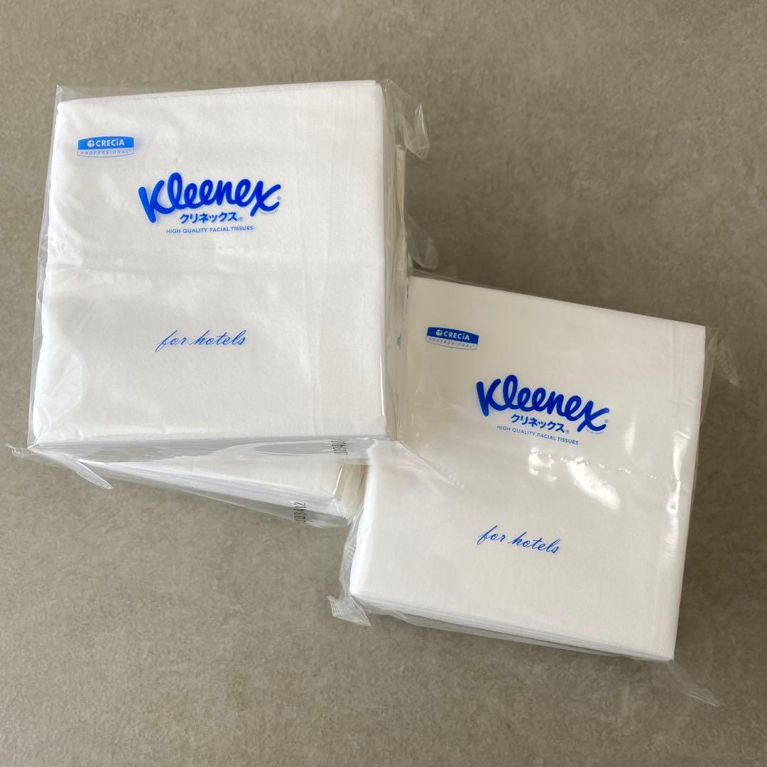 東屋 / 半ティシューの匣　ティッシュケース　ボックス　箱　スコープ