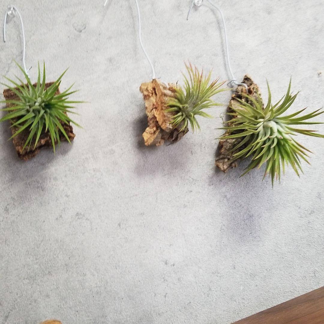 みっちゃん様確認用