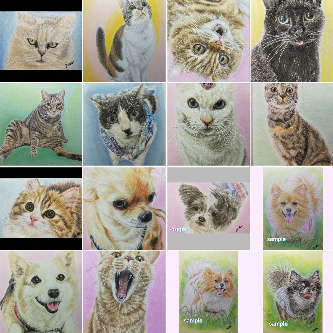 色鉛筆画✭愛猫愛犬✭ペット似顔絵　肖像画　イラスト　注文オーダー　受付ページ　1