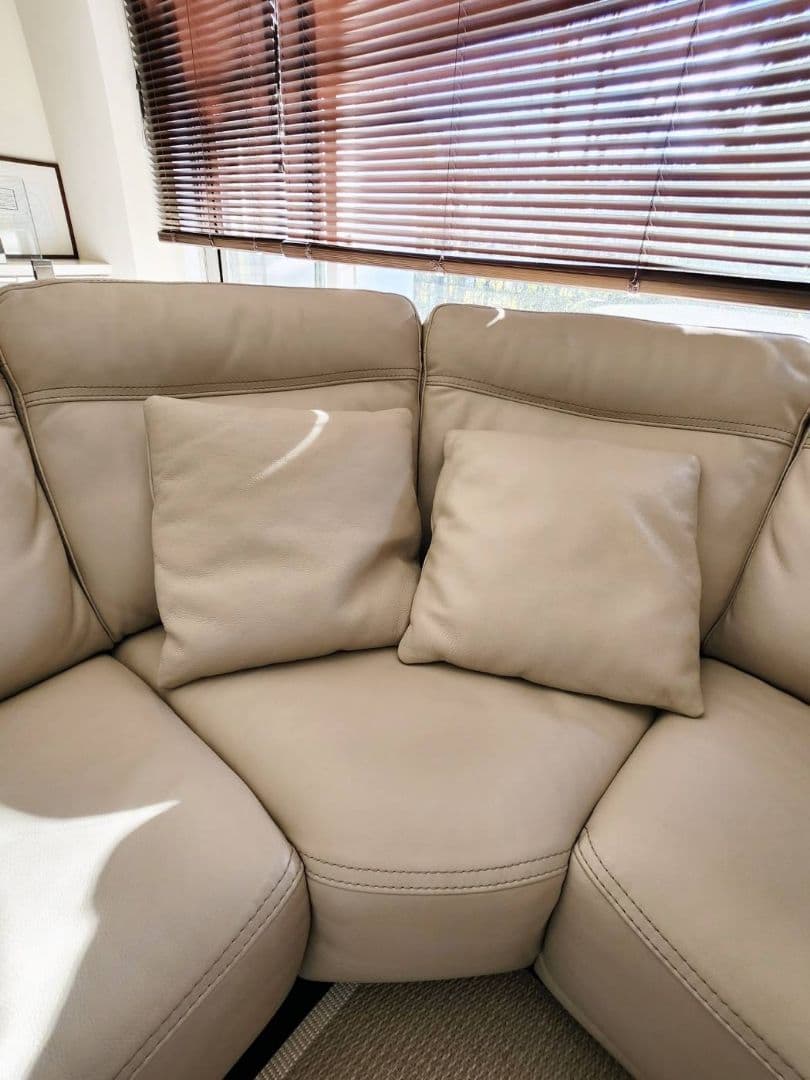 Natuzzi Edition 電動ソファ (引っ越しのため処分)