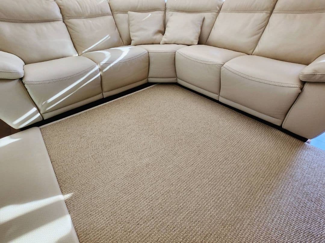 Natuzzi Edition 電動ソファ (引っ越しのため処分)