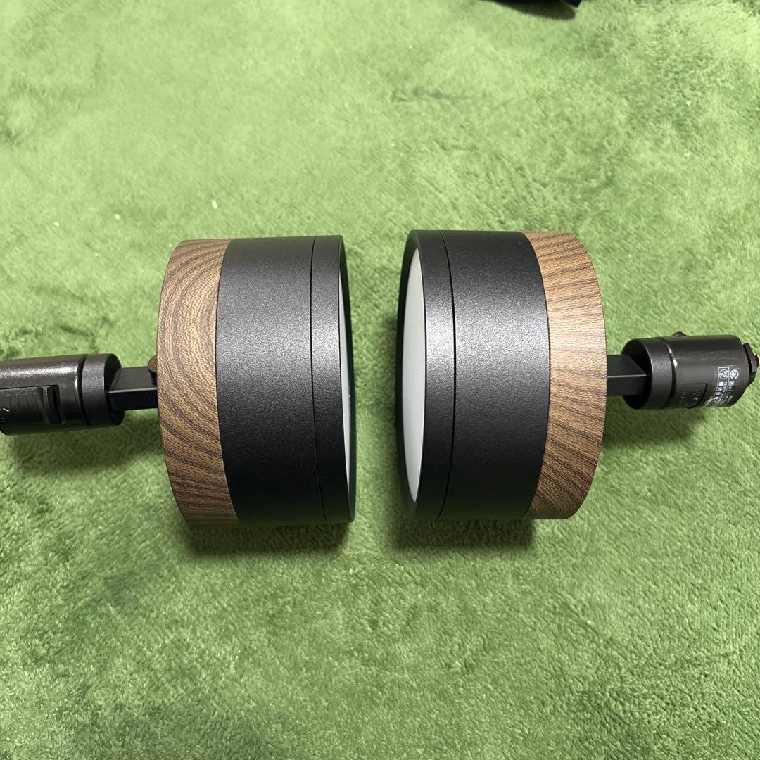 エジソンスマート ウッド調 ミニシーリングライト　２個セット