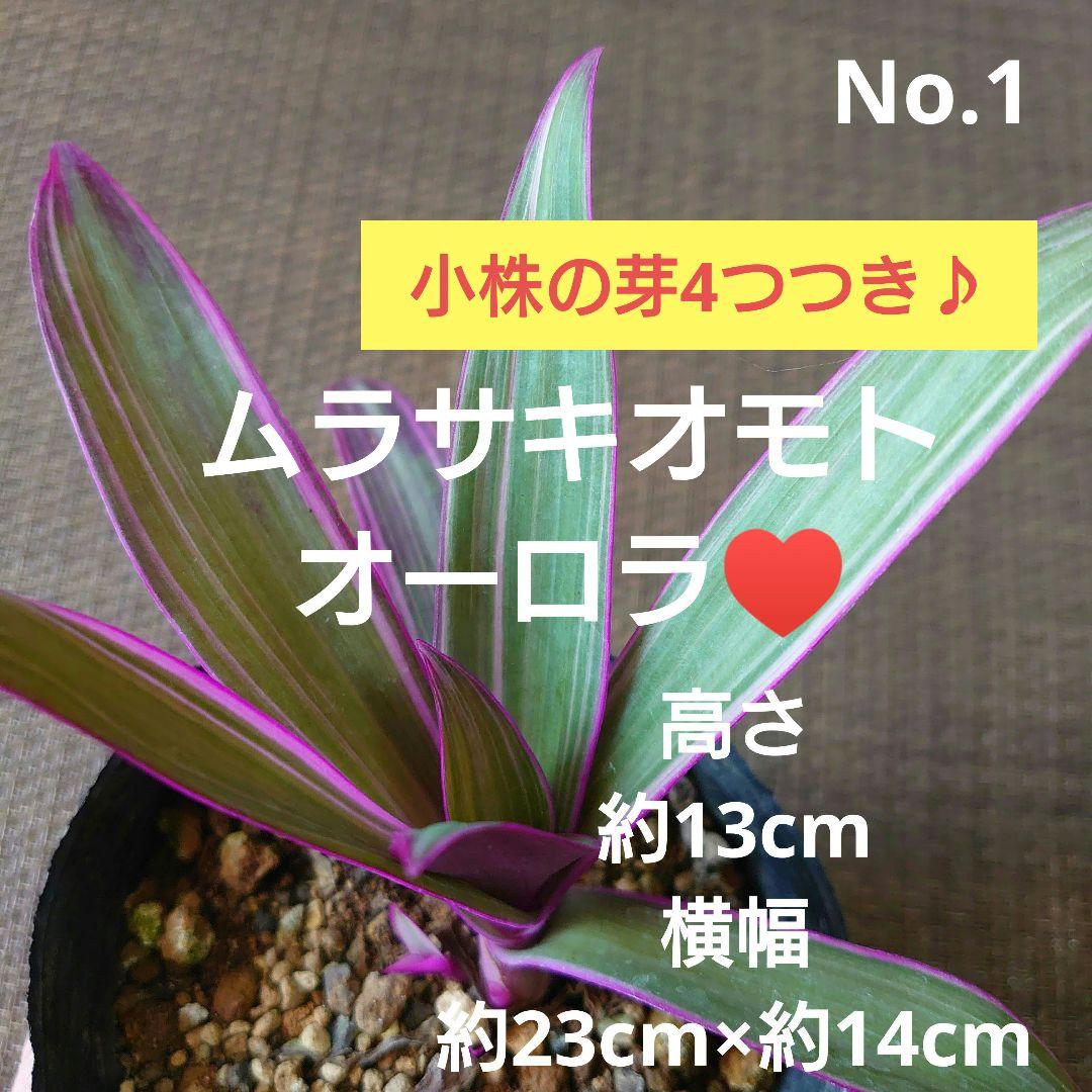 ☆DEARプロフ必読お願いします☆様 リクエスト 3点 まとめ商品 - メルカリ