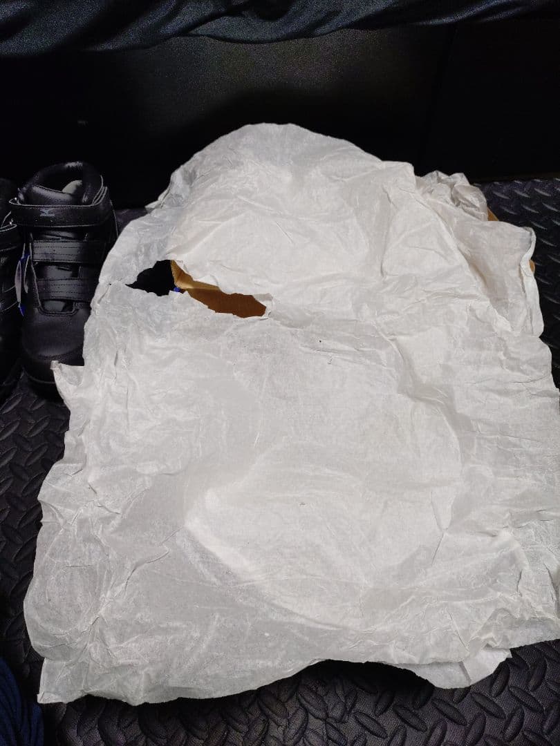 新品格安Mizuno ハイカット安全靴 ブラック27センチ