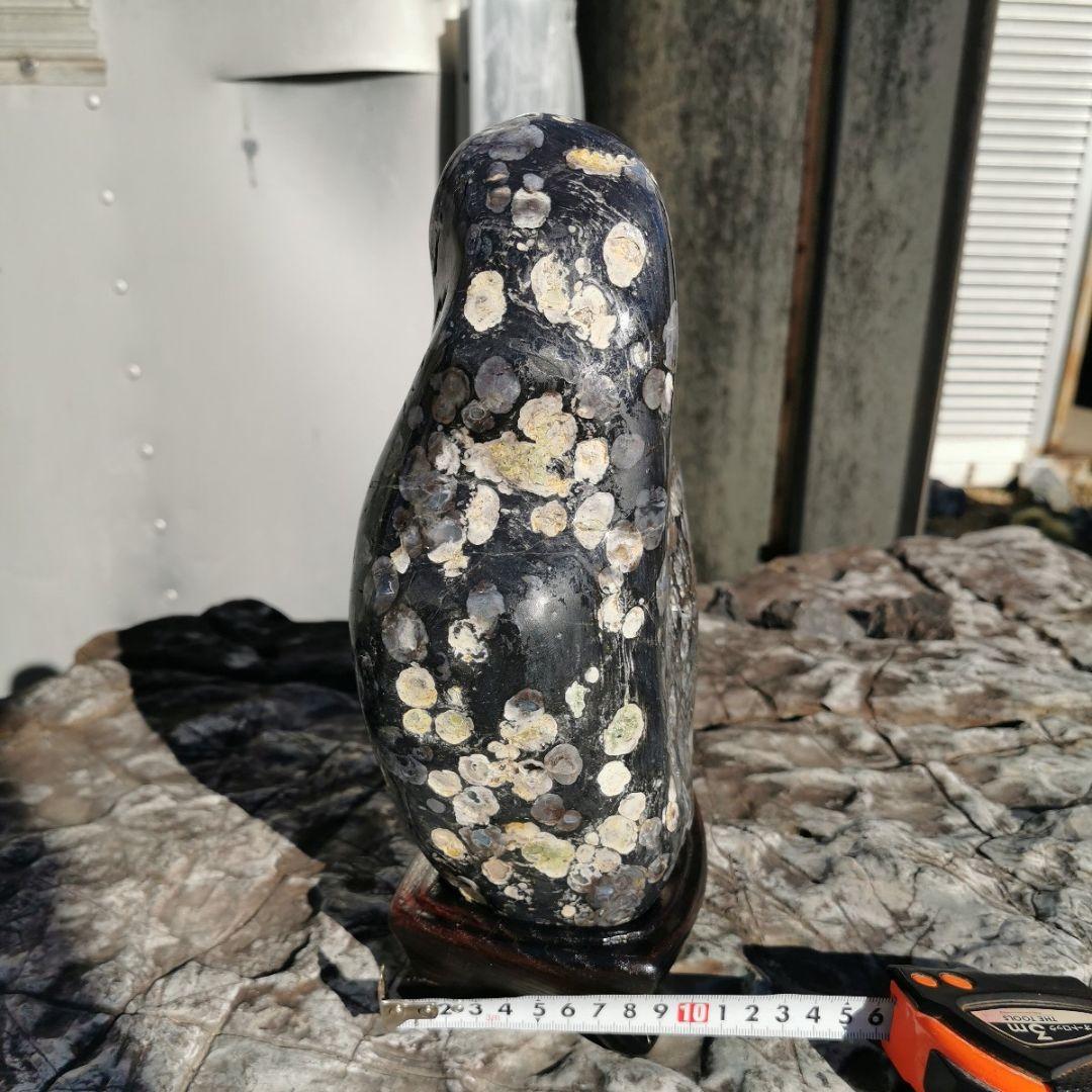 東北産　梅花石　6.7キロ　鑑賞石　石　置物　オブジェ　インテリア