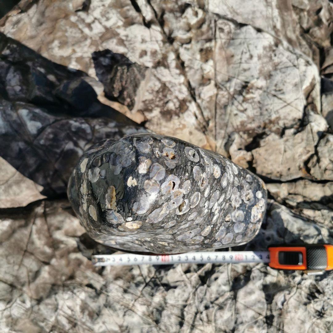 東北産　梅花石　6.7キロ　鑑賞石　石　置物　オブジェ　インテリア