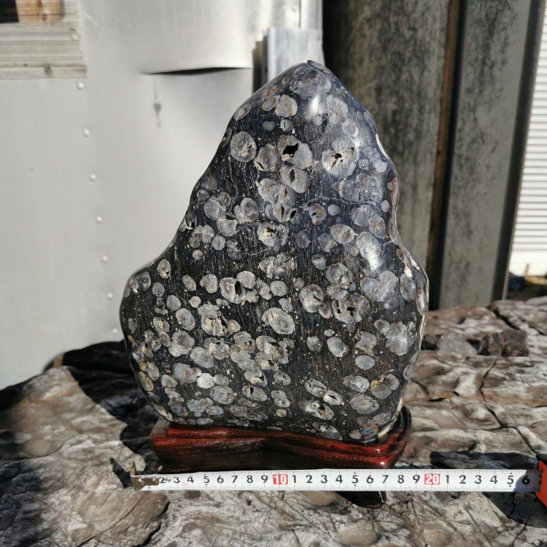 東北産　梅花石　6.7キロ　鑑賞石　石　置物　オブジェ　インテリア