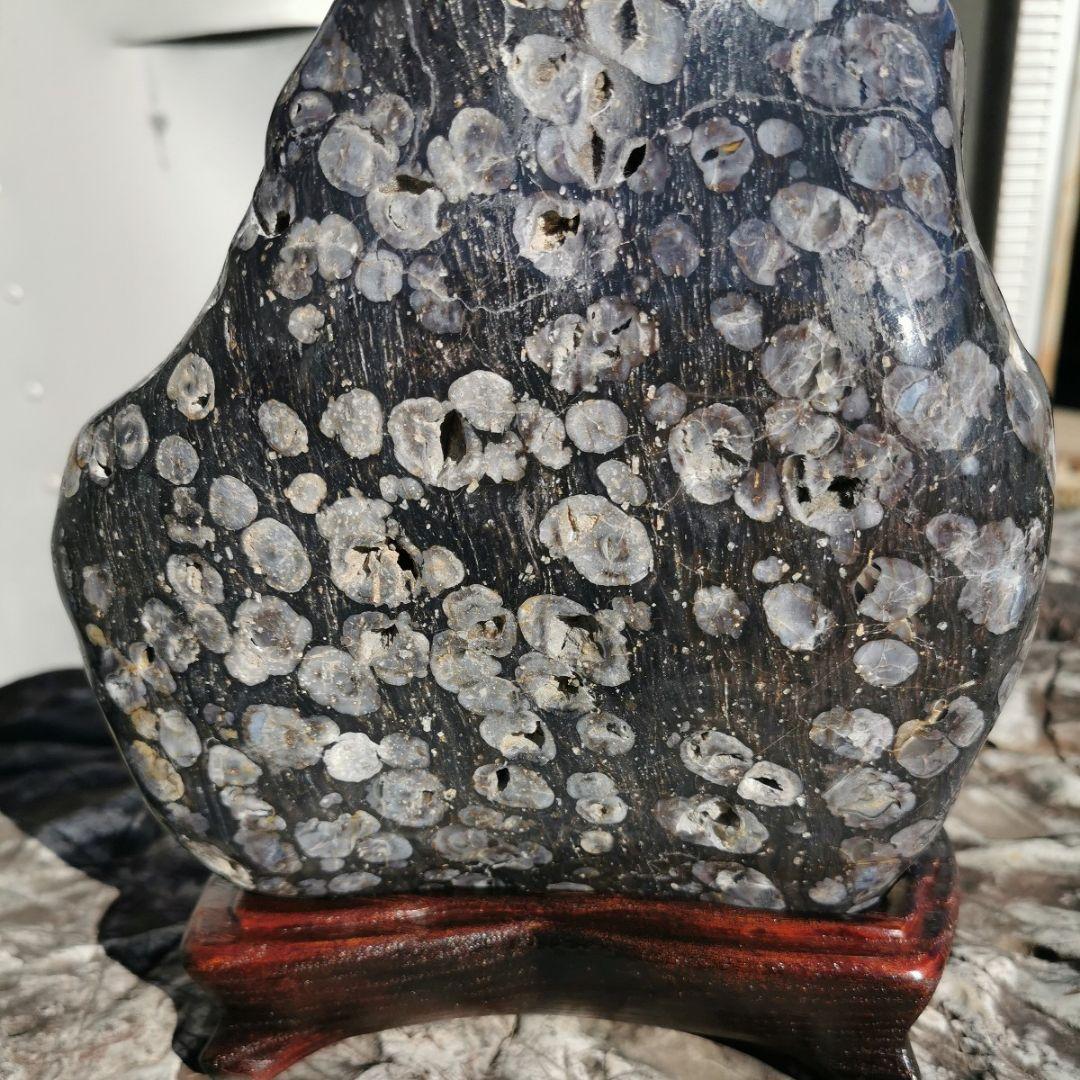 東北産　梅花石　6.7キロ　鑑賞石　石　置物　オブジェ　インテリア