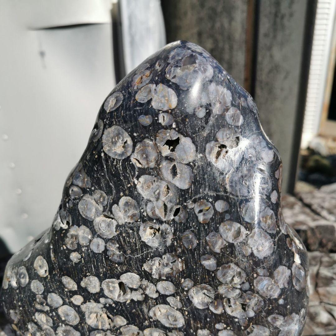 東北産　梅花石　6.7キロ　鑑賞石　石　置物　オブジェ　インテリア