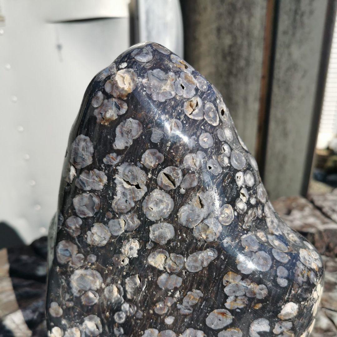 東北産　梅花石　6.7キロ　鑑賞石　石　置物　オブジェ　インテリア