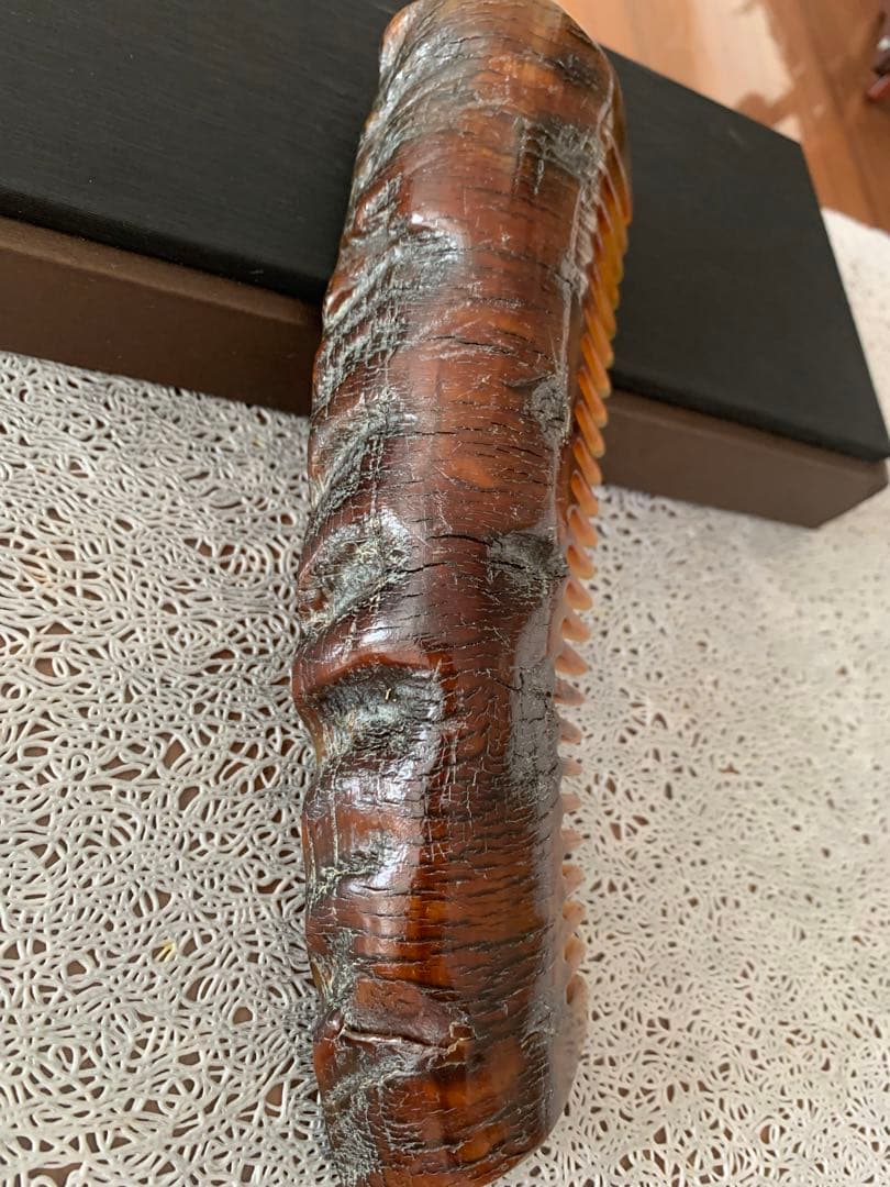 F-150天然牛角　高品質　原生態　角皮付き櫛　かっさプレート　全身用