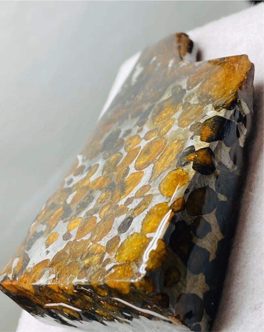 パラサイト隕石 隕石 パラサイト 129g 74.4×47.2×19mm