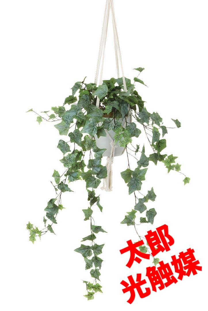 光触媒　人工観葉植物　フェイクグリーン　壁掛けフロストアイビーハンギング4035