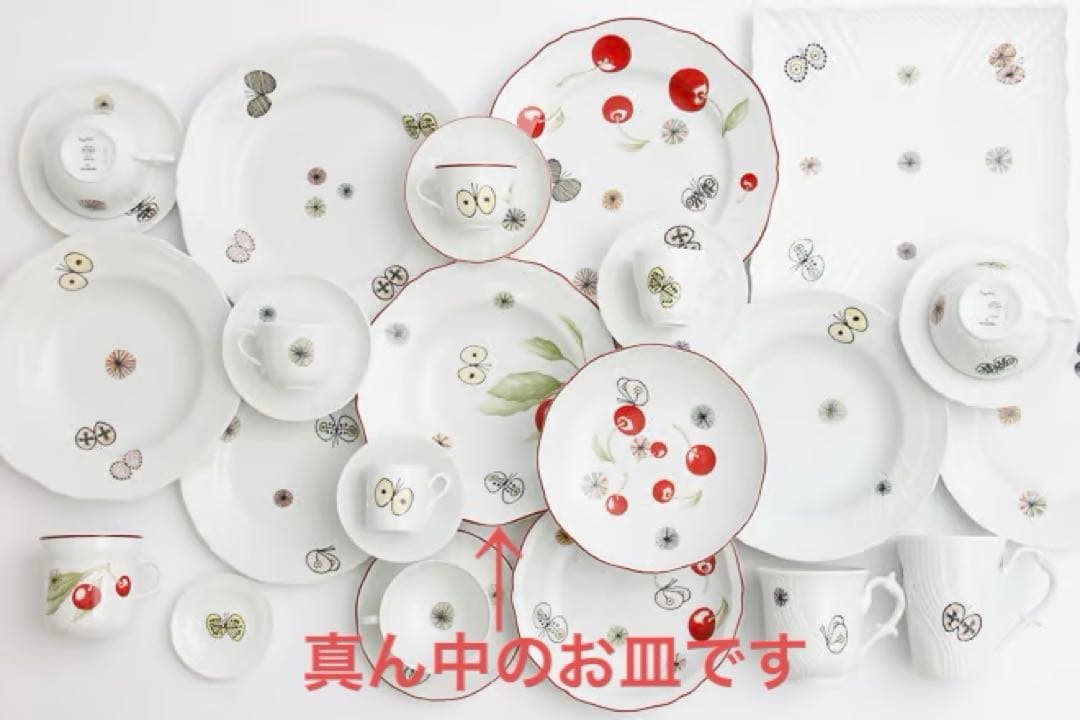 希少！数量限定品【未使用】リチャードジノリ×ミナペルホネン コラボ