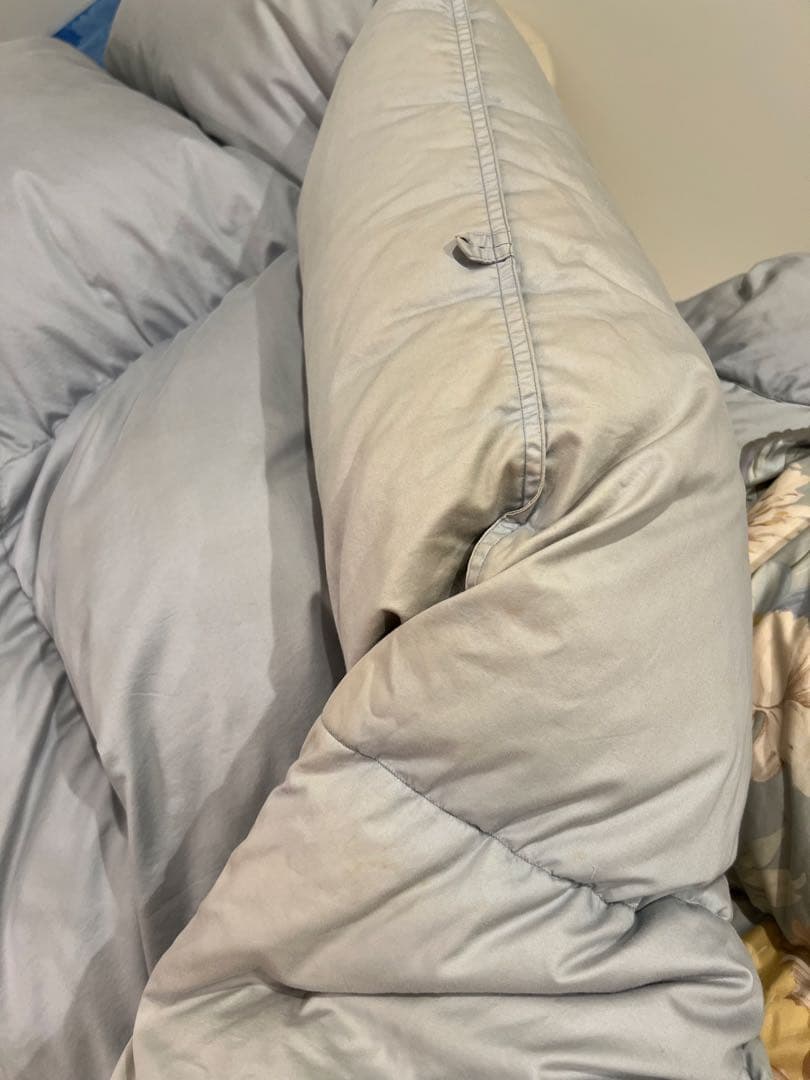 ロマンス小杉　ポーランドグースダウン95% セミダブル+大阪西川ダブルの2枚