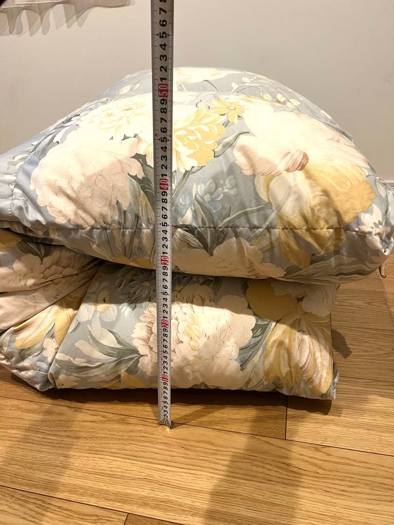 ロマンス小杉　ポーランドグースダウン95% セミダブル+大阪西川ダブルの2枚