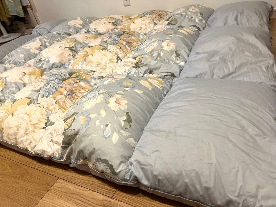 ロマンス小杉　ポーランドグースダウン95% セミダブル+大阪西川ダブルの2枚